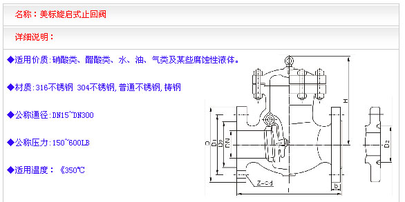 美標法蘭止回閥